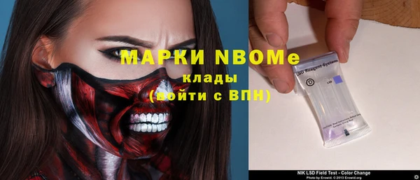 ГАЛЛЮЦИНОГЕННЫЕ ГРИБЫ Богданович