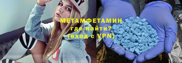ГАЛЛЮЦИНОГЕННЫЕ ГРИБЫ Богданович